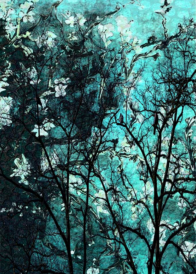 Turquoise Night