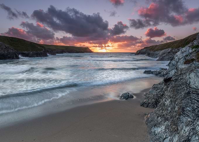Sunset Polly Joke