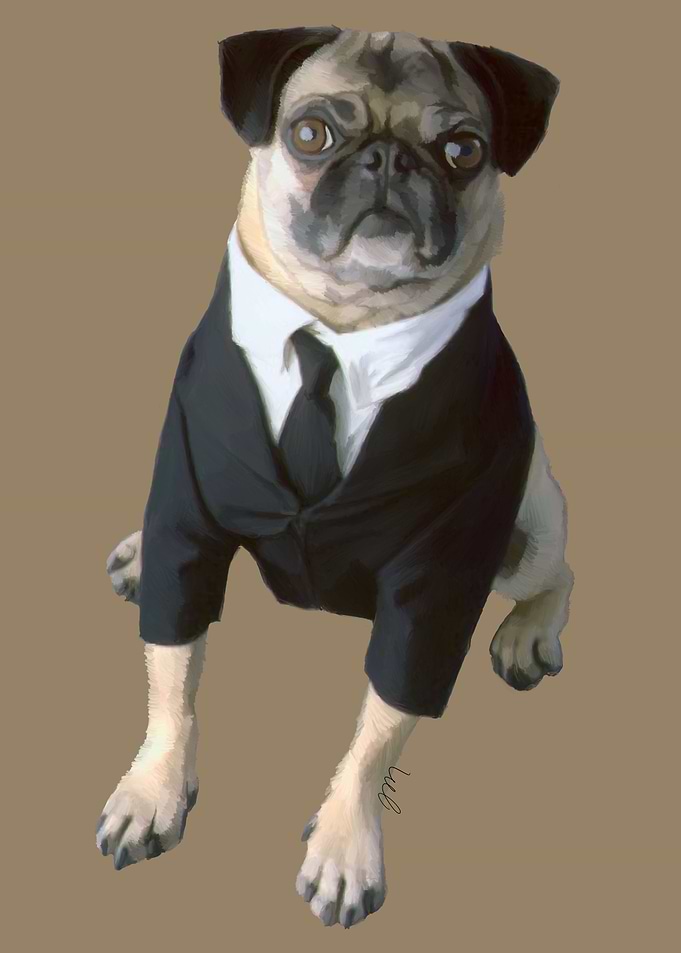 Frank the Pug