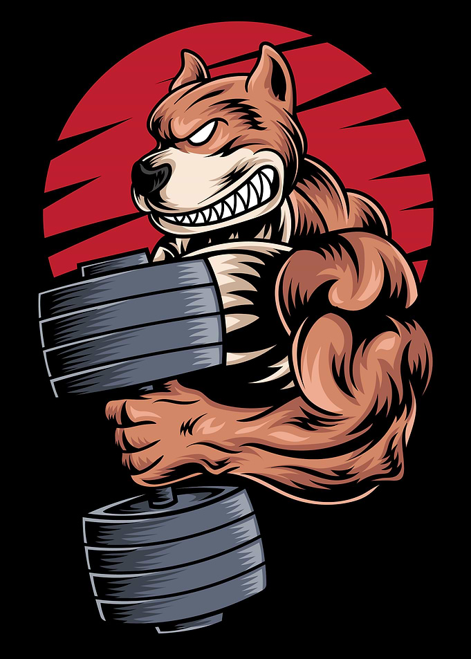 Fitness Dog