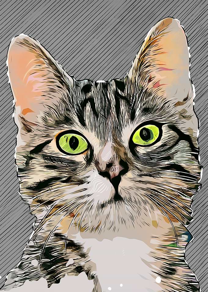 Cat art