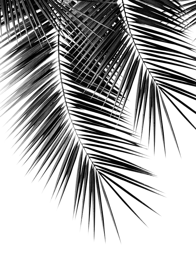 Cali Summer Vibes 2