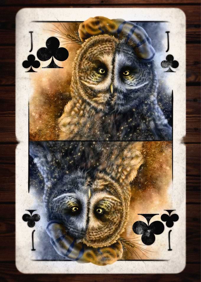 Clubs Loyal Owl Knave