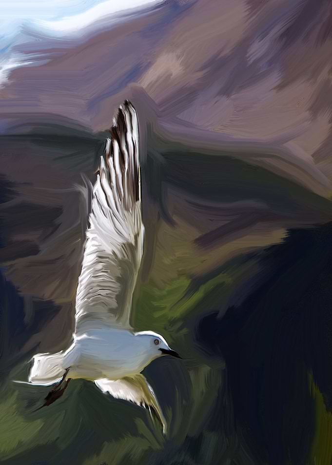 White Bird