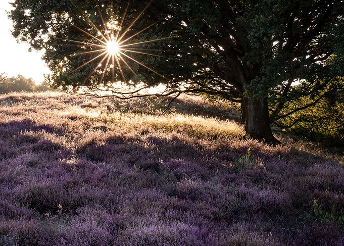Sunset with Heather