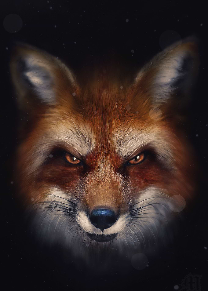 Angry Fox