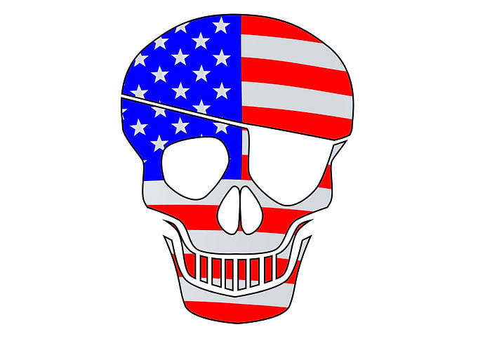 USA Flag Skull