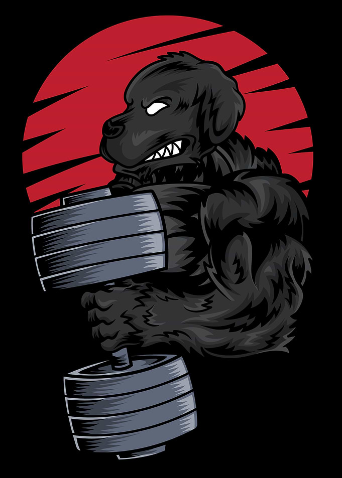 Newfoundland at gym