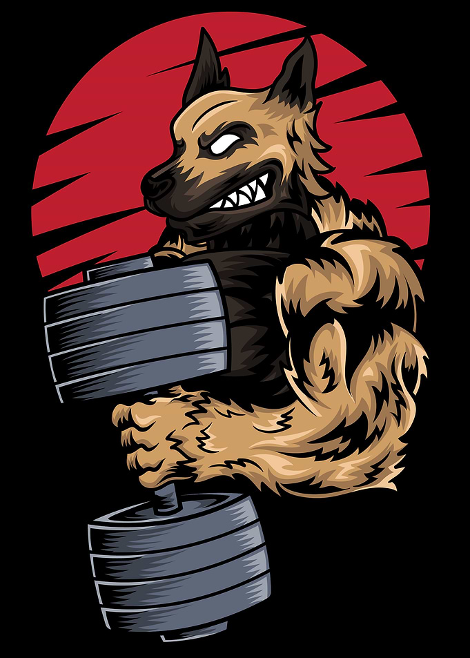 German Shepard at Gym