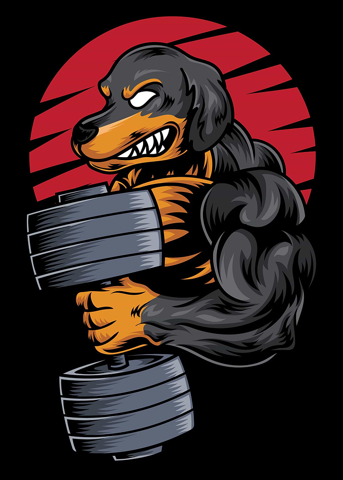 Sporty Dachshund