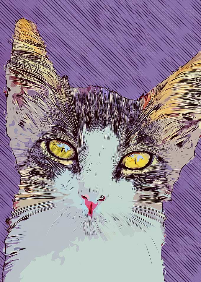 Cat art