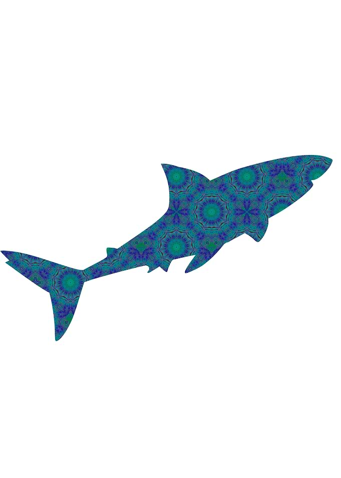 Shark