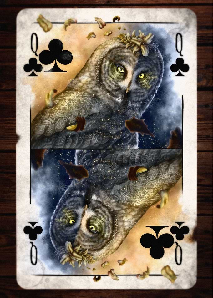 Clubs Scheming Owl Queen