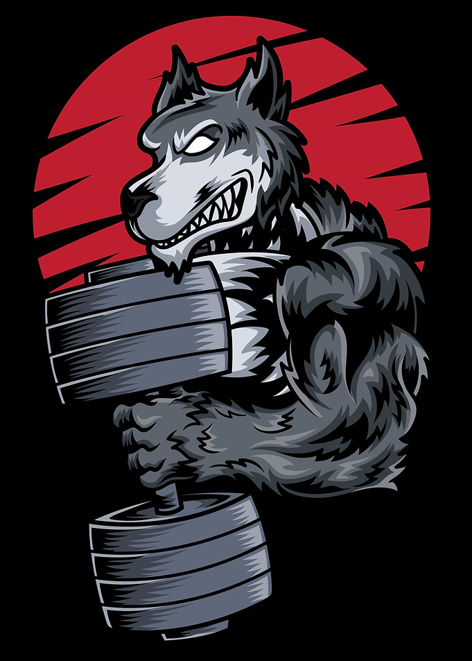 Husky Dog at Gym