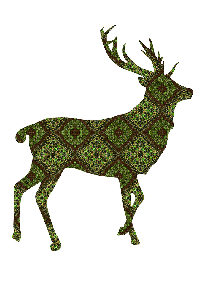 Deer