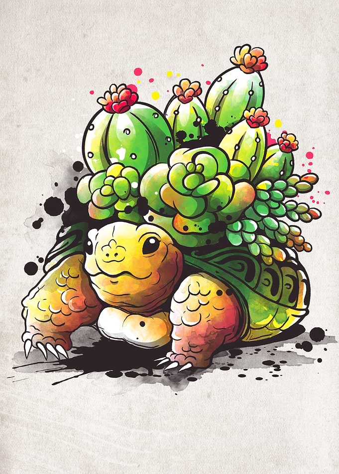 succulent tortoise