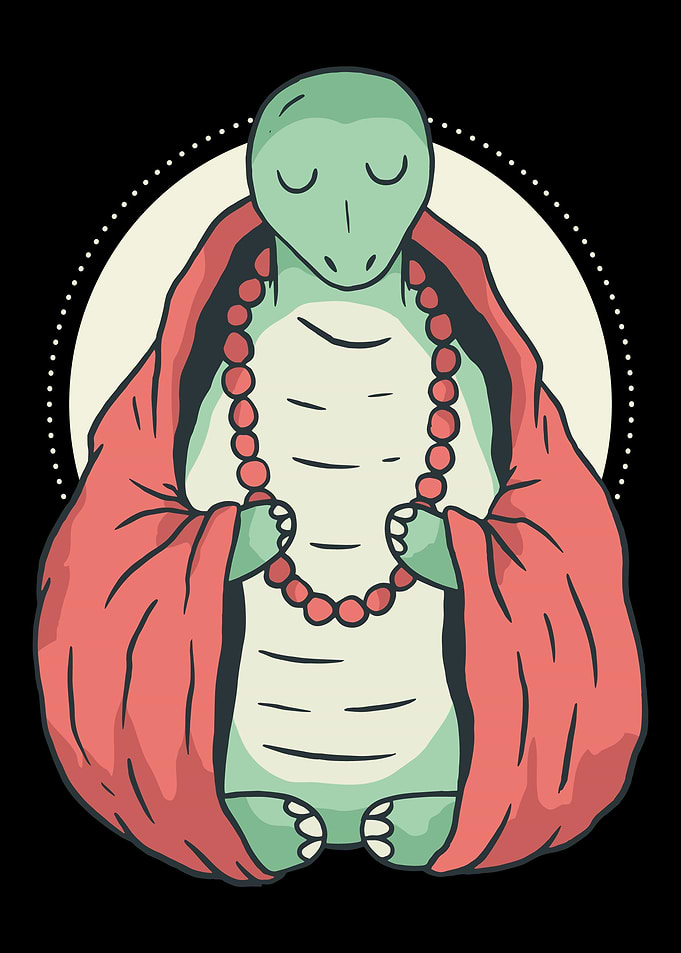 Meditation Turtle
