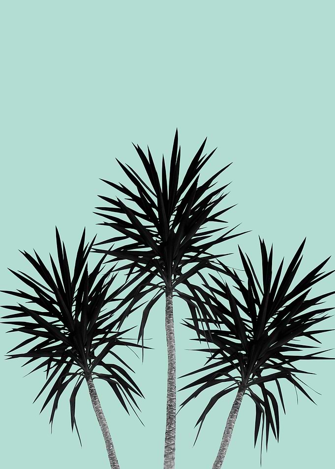 Palm Trees Cali Summer 1