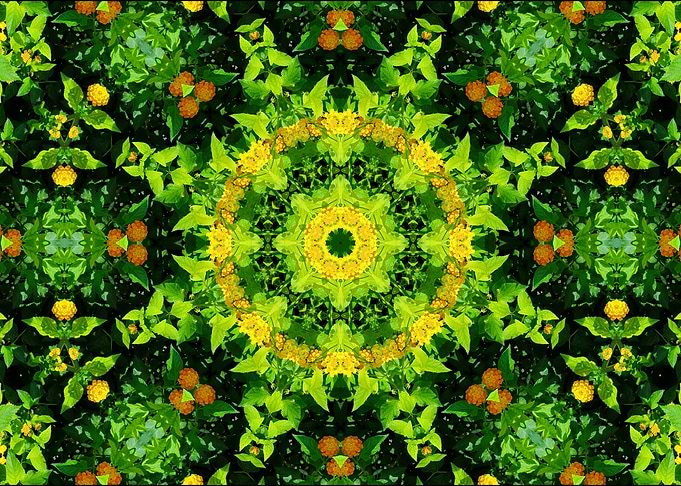 symmetry in nature 2