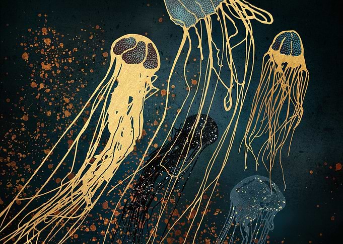 Metallic Jellyfish option2