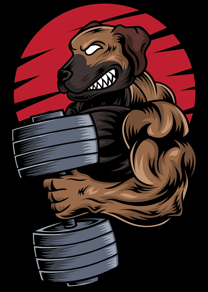 Sporty Rhodesian Ridgeback