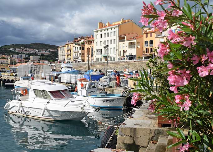 Port Vendres old harbour