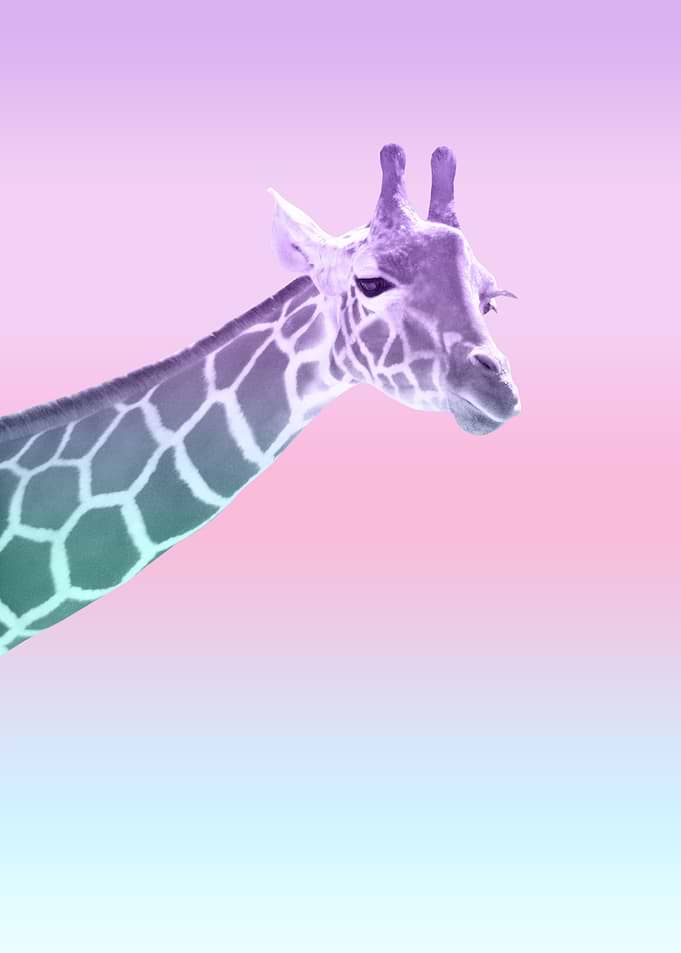 Unicorn Mermaid Giraffe 1