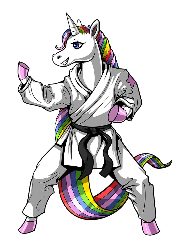 Unicorn Girl Karate