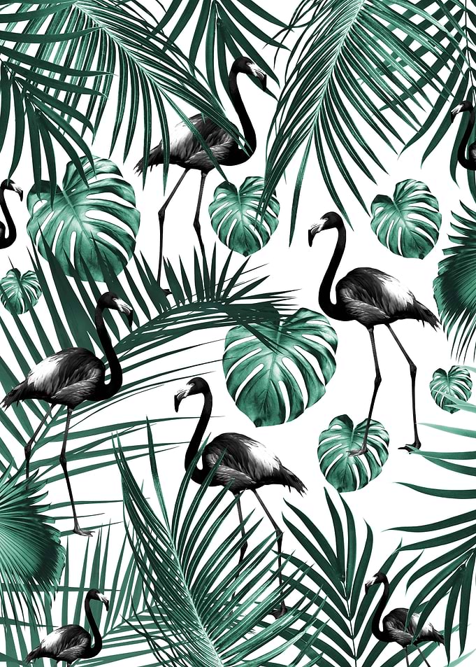 Tropical Flamingo 6
