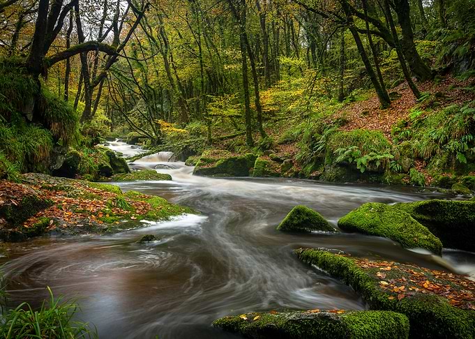 River through the Woods