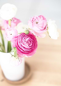 Ranunculus