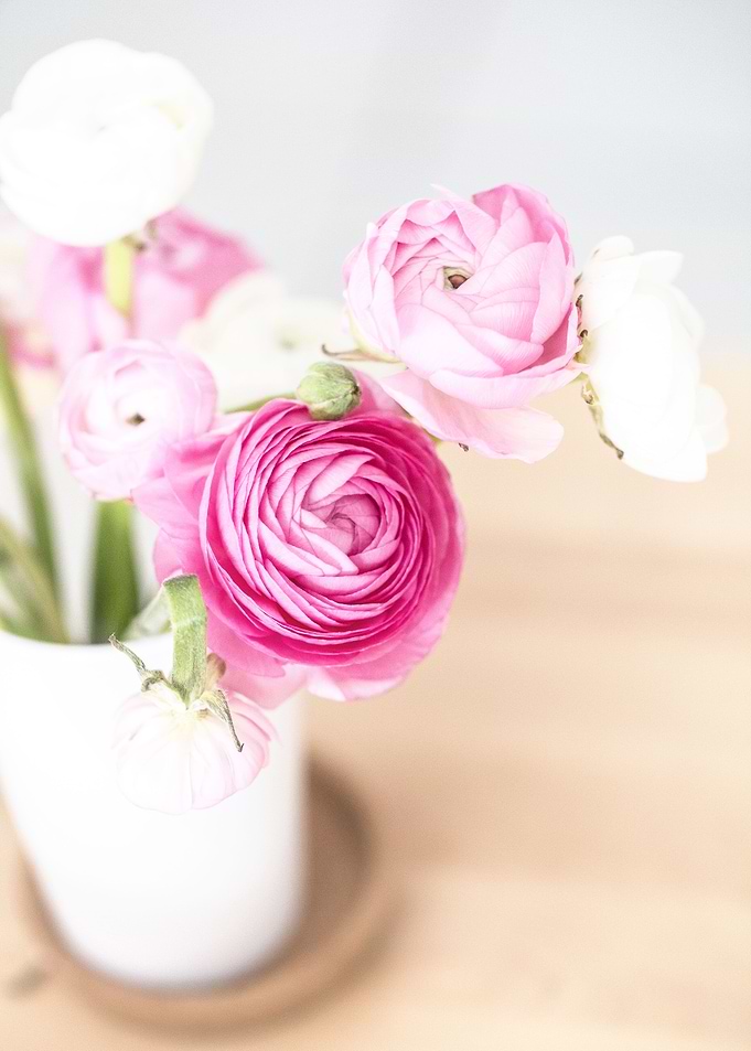 Ranunculus