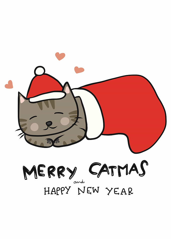 Merry Catmas cat sleeping