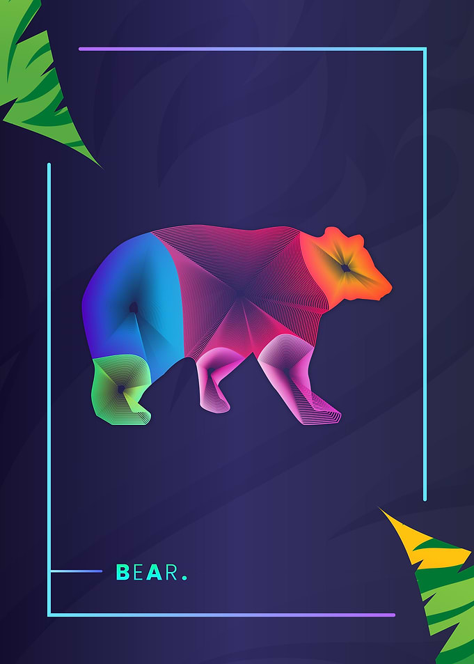 Bear Colorful Line Art