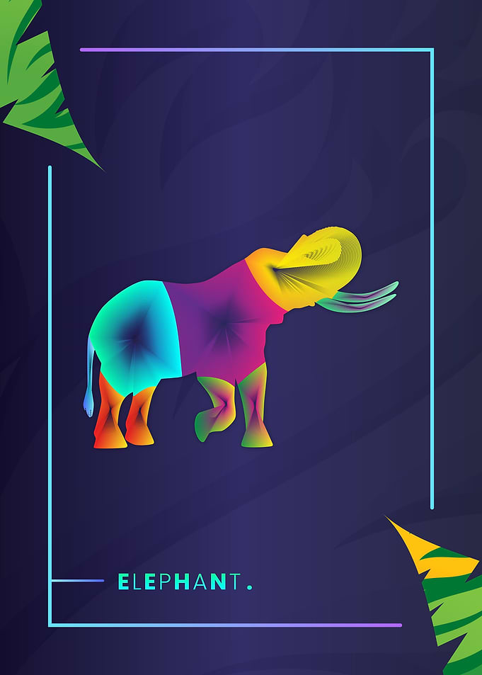 Animals Colorful Line Art