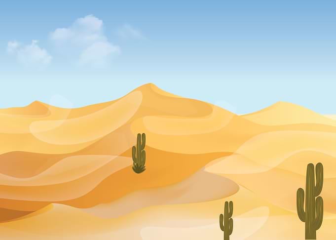 Life in Desert