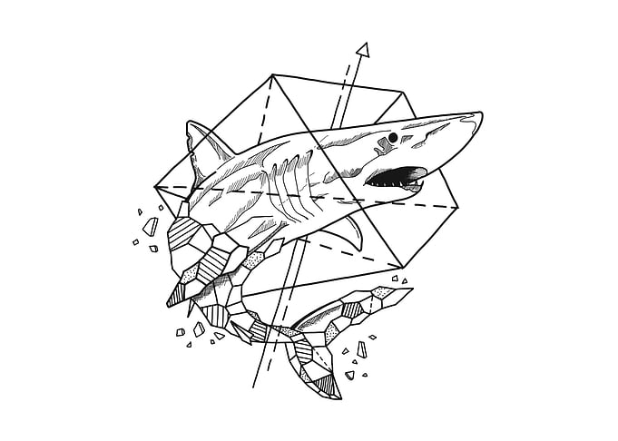 Aniometry Shark