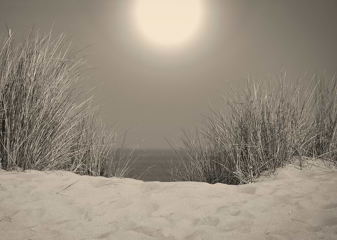 Sand dunes in sepia