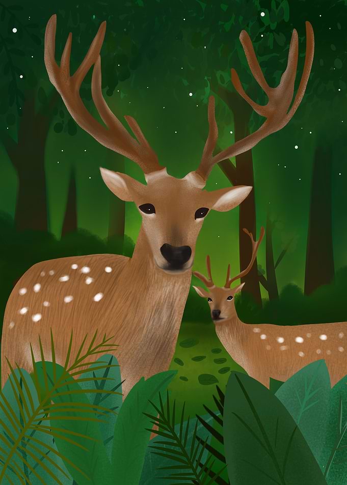 Deer Animals with horns