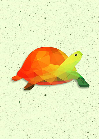 TURTLE COLORFUL