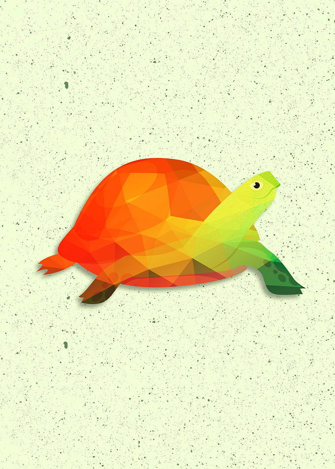 TURTLE COLORFUL