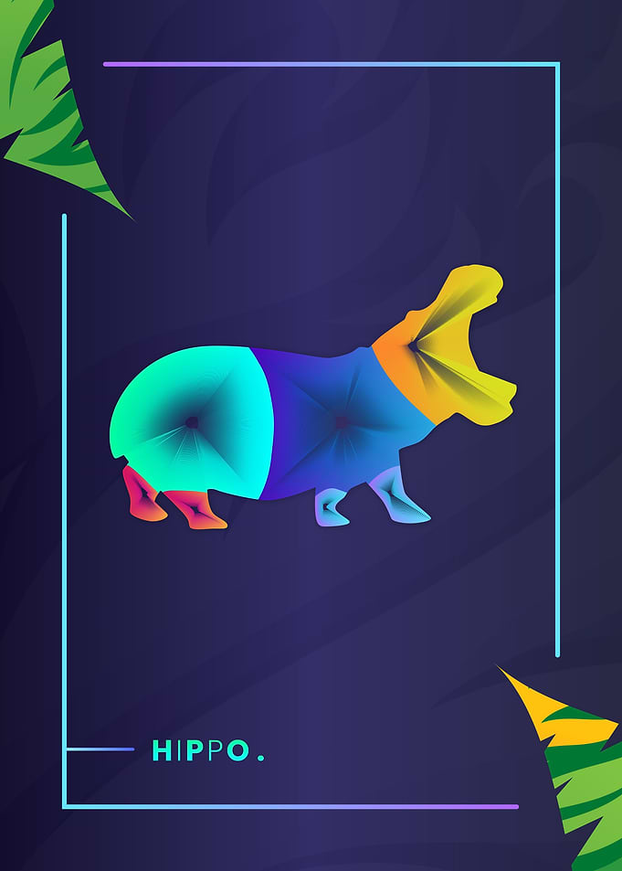 Hippo Colorful Line Art