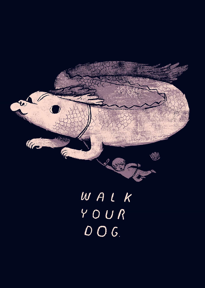 walk your dog