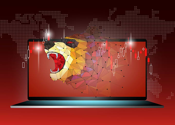Bear Stock market