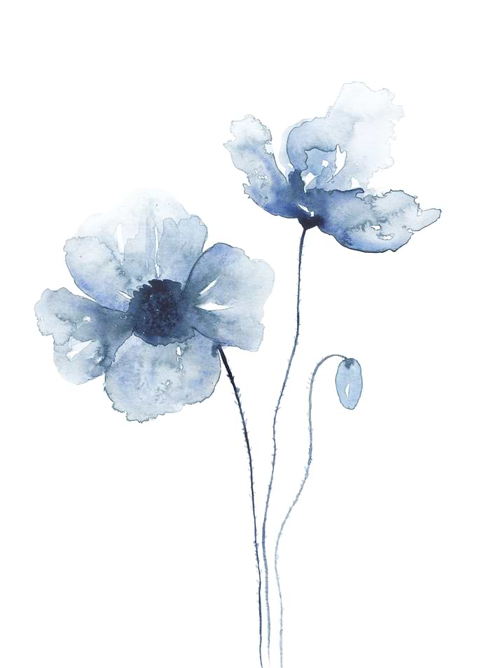 Blue Poppies No 2