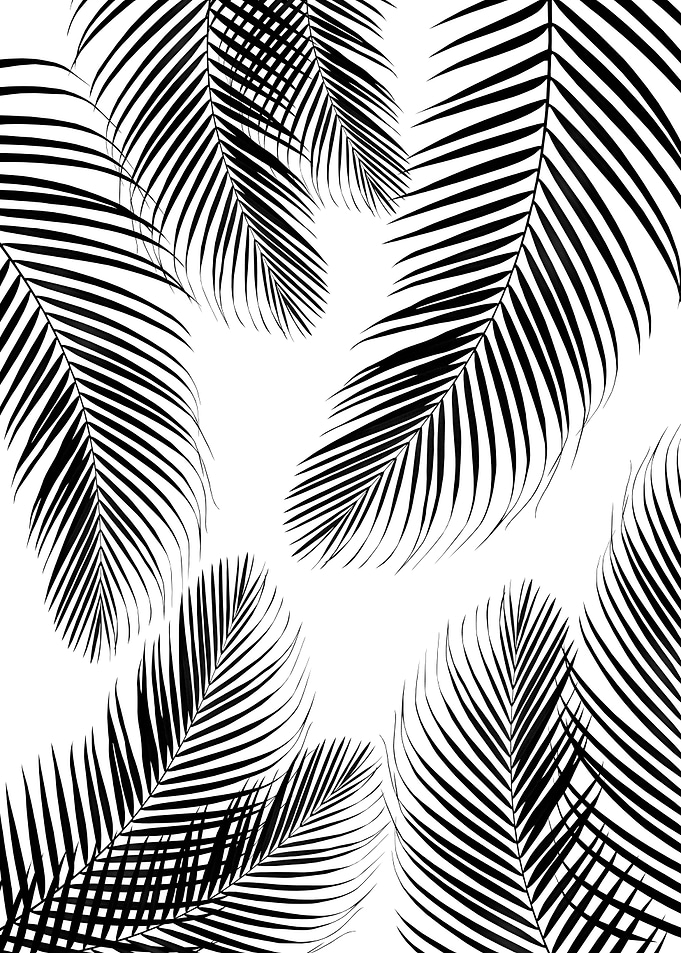 Palms Black White Vibes 2