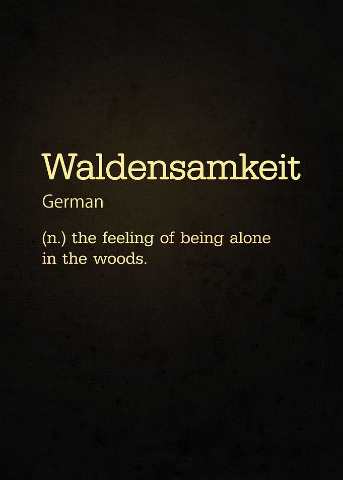 Waldensamkeit