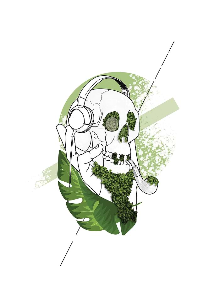 EcoScull