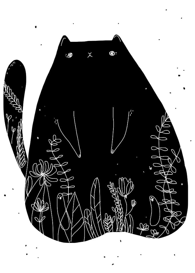 cat
