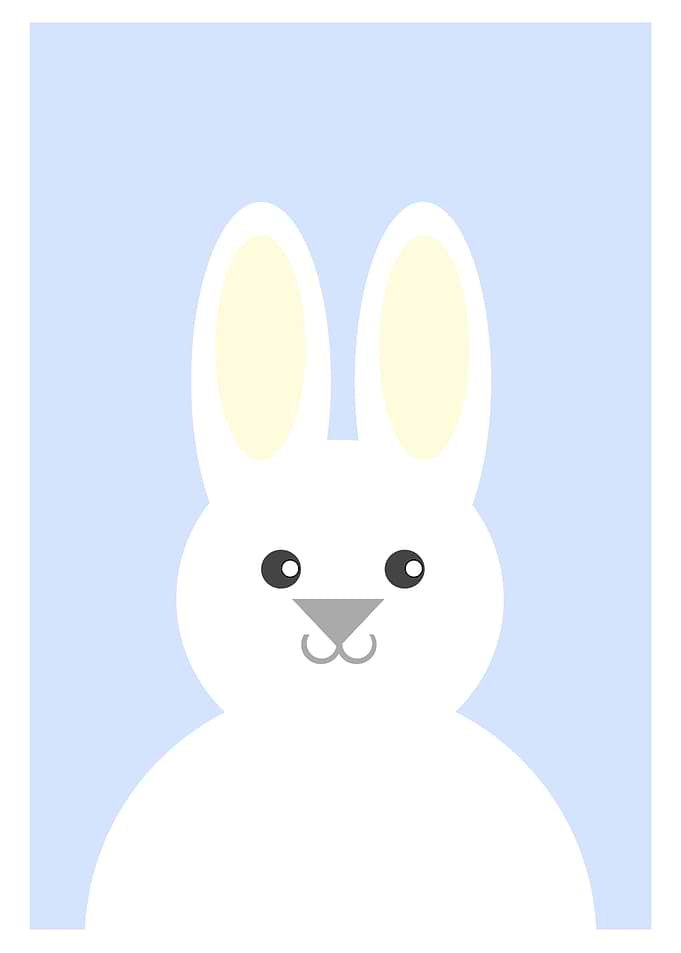 White Bunny On Blue